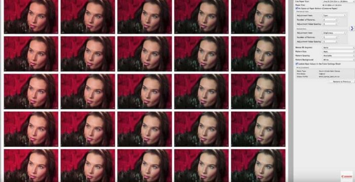 Canon Pro print multiple thumbnails